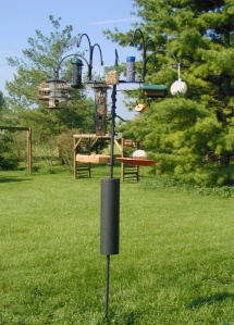 Birdfeeder 2007-07